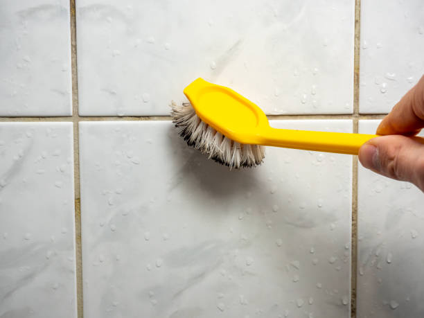 Best Commercial Mold Removal  in Longview, TX