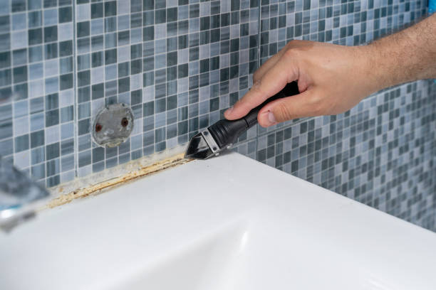 Best Mold Damage Repair  in Longview, TX