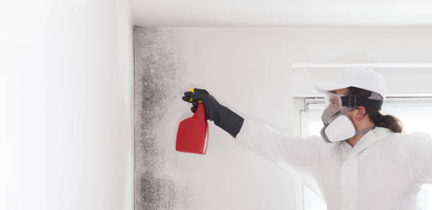 Mold Removal Process in Longview, TX