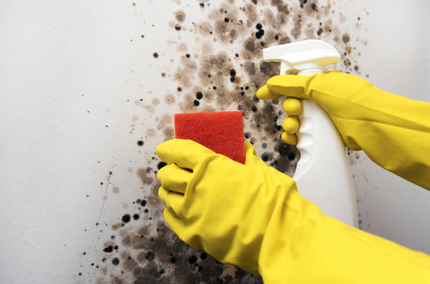 Water Damage Restoration in Longview, TX